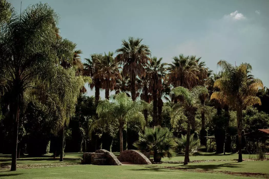 jardin de fiestas rodeado de palmeras