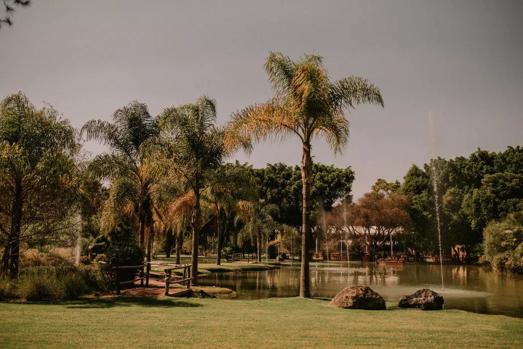 hermosa laguna de la aldea rodeada de arboles y palmeras